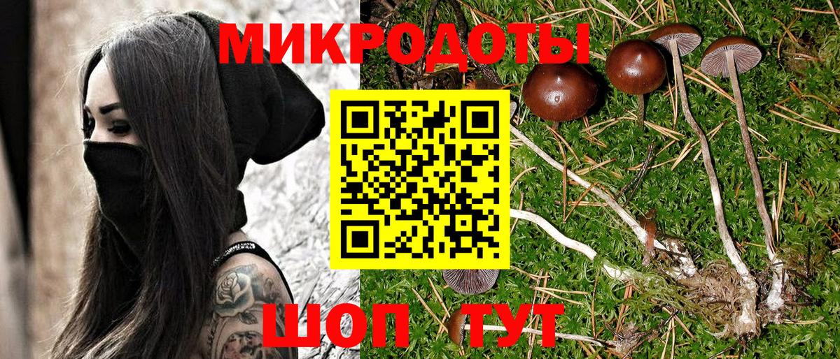 Галлюциногенные грибы мухоморы Магадан