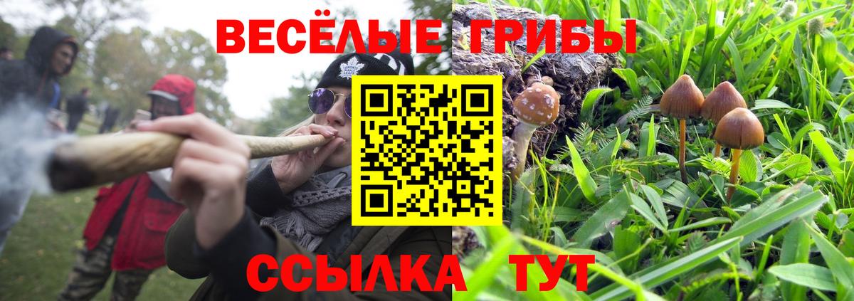 где продают наркотики  Галлюциногенные грибы прущие грибы  Вход с VPN  Магадан  Псилоцибиновые грибы GOLDEN TEACHER 